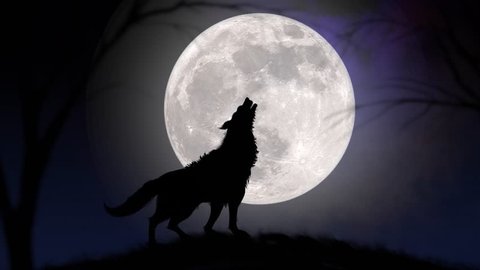 4k : Wolf Howling at the Moon, Silhouette of wolf howling at the full moon