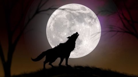 4k : Wolf Howling at the Moon, Silhouette of wolf howling at the full moon
