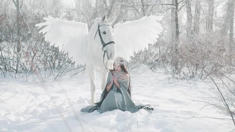 mysterious divine squad of secret inhabitants of fairy-tale forest, gorgeous dark-haired model poses for camera in snow, princess reads prayer, her loyal friend is near, wonderful white pegasus