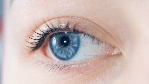 Eye Digital Scrolling On Iris Loop Stock Footage Video (100% Royalty ...