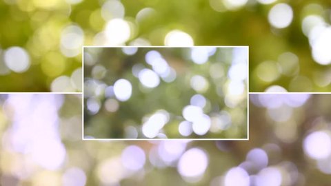 Nature bokeh, defocus background, beautiful sunny shining with tree green leaves, summer day, beautiful abstract video collage for footage mantage. #FHD