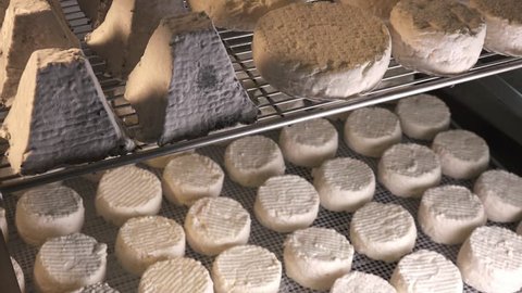 Traditional french goat cheese, France