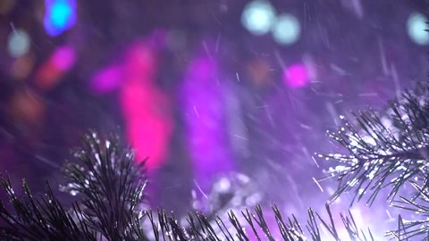 closeup of pine branch with falling snow and flash lights on background at night