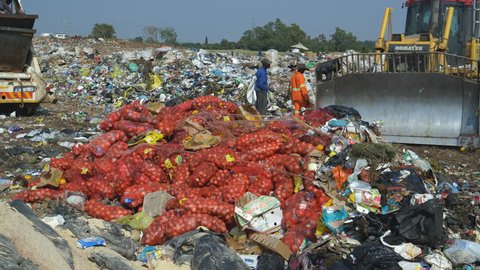 AFRICA,SOUTH AFRICA,CIRCA 2019.4K close-up view of a bulldozer that is pushing a pile of garbage over pockets of vegetables that have been dumped at a landfill dump site  