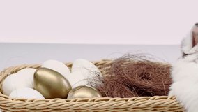 cute spotted rabbit walking and jumping in basket with Easter eggs on white background