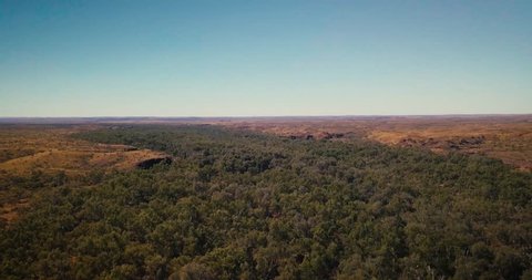 Aerial Drone birds eye view slow tilt up through Australian Desert Oasis Inland river