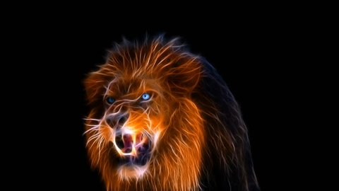 Lion Roaring, Fractal lion, lion attacks, lion's grin