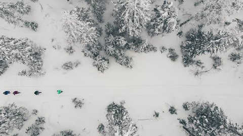 4 people walking beautiful snow forest in winter, aerial view. Family tourists hiking winter forest. Parents with children walking hiking trail. Family with backpacks go on a hike through wintry woods