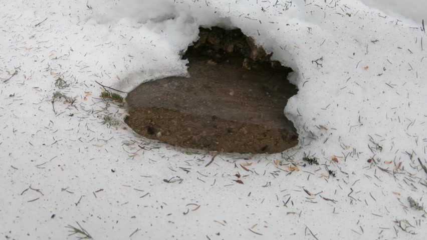 water under the snow and ice 