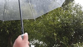 hail falling before snow at winter in Japan - view from my umbrella
