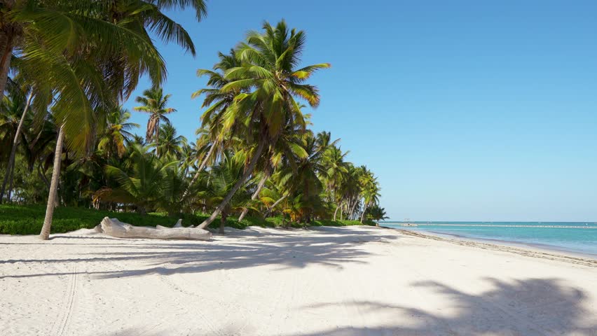 Maldives island beaches palms and sea. Indian Ocean and sky / Beautiful big wild beach. The best beach in the world. Wildlife Island. Isolated beach