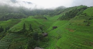 Aerial video in an amazing asian landscape, with drone, above rice terraces and small houses.