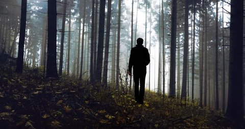 Man Walking Alone Dark Foggy Forest Stock Footage Video (100% Royalty ...