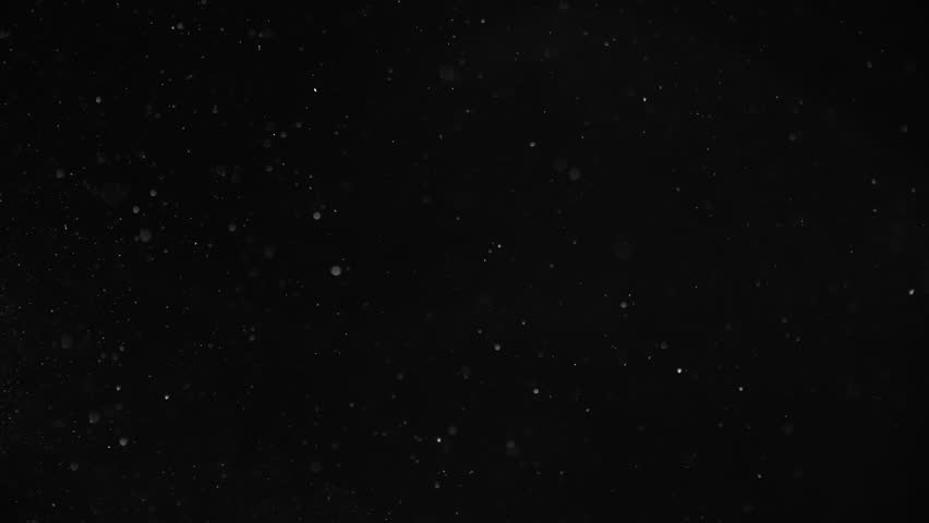Natural Organic Dust Particles Floating On Black Background. Dynamic Dust Particles Randomly Float In Space With Fast And Slow Motion. Shimmering Glittering White Particles With Bokeh In The Air. Royalty-Free Stock Footage #1025616335