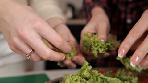 Girls prepare salad from vegetables using a lot of greens, dill, parsley. Food, health