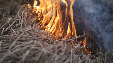 Трава пламя. Огонь трава. Огонь трава пополам. Острый Prairie Fire картинки\. To catch Fire Dry grass.