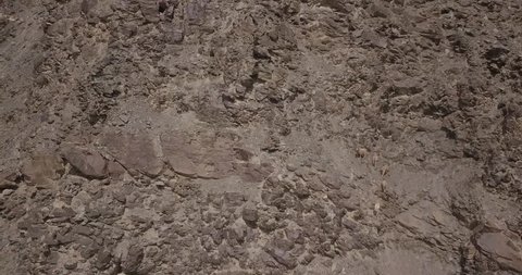 Herd of Ibex climbing mountain rocks in Karakoram mountain range in Hunza Valley, Pakistan