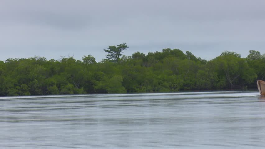 Two traditional motorized canoe boat arriving from the front on a large river in Senegal.