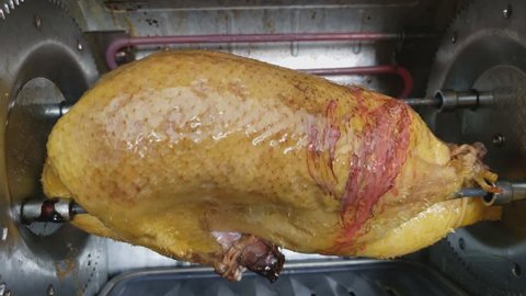 Home cooking - Close up of prepared wild catch duck being roasted in electric counter top rotisserie while fat starts to melt and drip.
