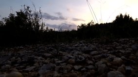 Natural park in Teruel. Aragon,Spain. Drone Video