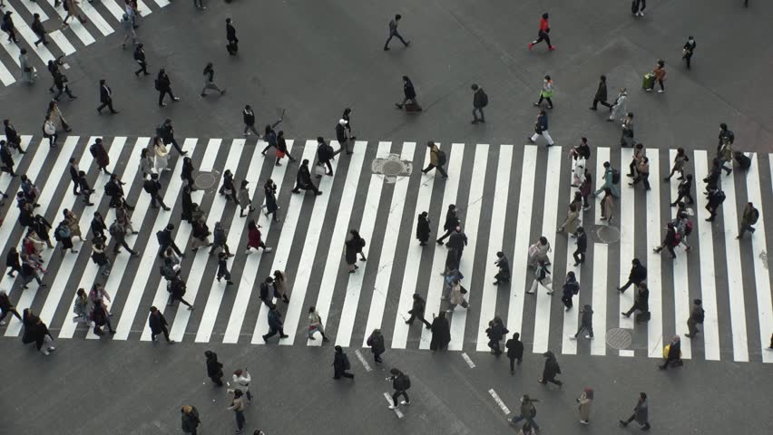 SHIBUYA,  TOKYO,  JAPAN - CIRCA MARCH 2019 : Aerial view around SHIBUYA scramble crossing.  Busy crowded area in Tokyo.  Wide view slow motion shot. | Shutterstock HD Video #1025659031