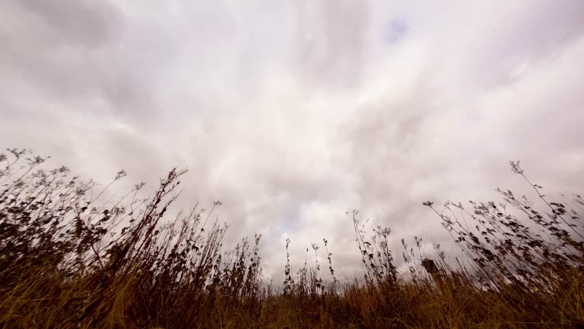 Glitch effect. Clouds over dry grass. Fisheye lens Time Lapse