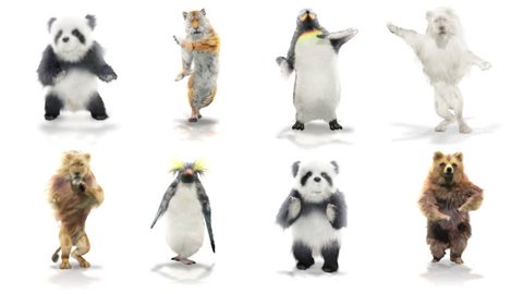panda tiger penguin penguins White lion bear Zoo CG fur 3d rendering animal realistic CGI VFX Animation  Loop Crowd dance composition 3d mapping cartoon Motion Background,with Alpha Channel