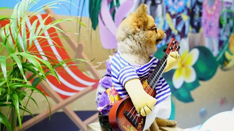 Dog wearing sun glasses and guitar on summer vacation at the beach.  Summer Holidays concept.