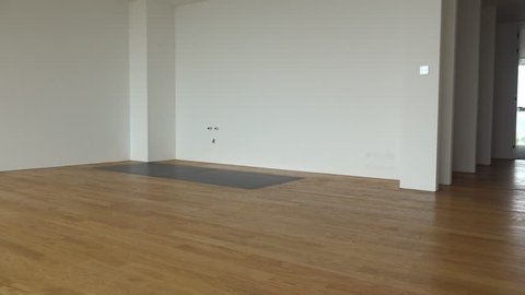 The interior of an empty luxurious apartment