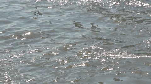 Slow motion scene of the waves in the river with the glittering sunshine on the surface of river