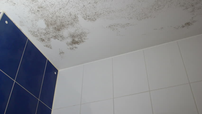 Black Mold On Ceiling Tiles | Shelly Lighting