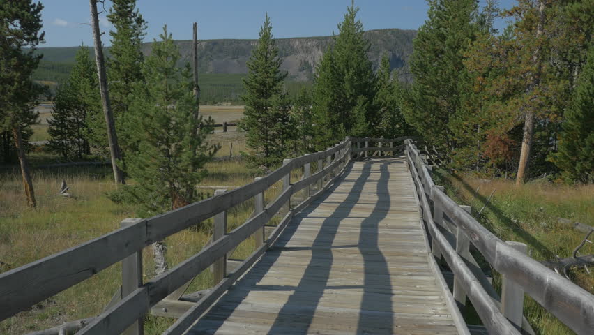 Sunny afternoon at Yellowstone National Park, Wyoming
