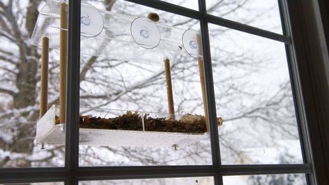 Closeup of empty bird plastic window feeder mounted to glass during snowy winter snow day with sunflower seeds in Virginia