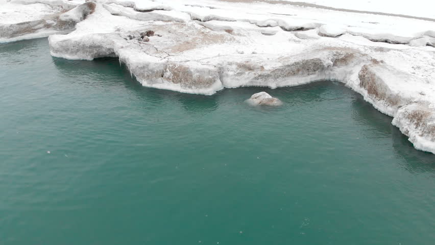Michigan lake in Winter. Water, cold weather, bird