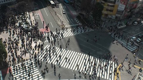 SHIBUYA,  TOKYO,  JAPAN - CIRCA MARCH 2019 : Aerial view around SHIBUYA scramble crossing.  Busy crowded area in Tokyo.