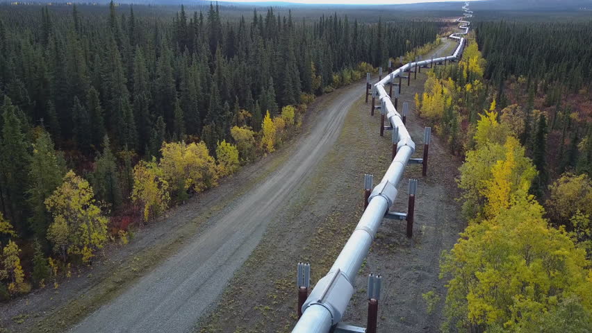 Aerial shot flying over the Trans Alaska Pipeline running through the middle of a green forrest in the countryside