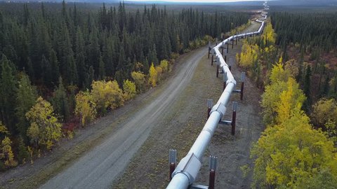 Aerial shot flying over the Trans Alaska Pipeline running through the middle of a green forrest in the countryside