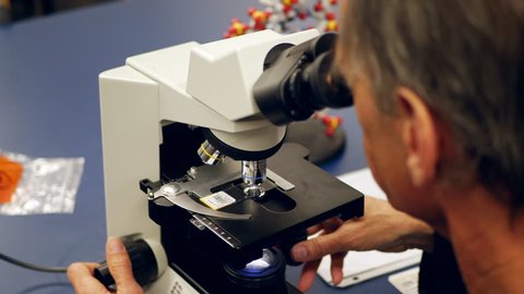A scientist examining a slide with human cancer cells through a microscope in a medical research laboratory.