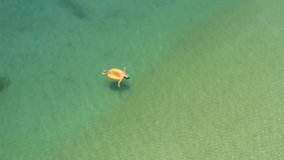 Aerial view Drone shot of young woman relaxing on inflatable pineapple floating on beautiful green turquoise sea in Thailand enjoying tropical vacations by the beach 