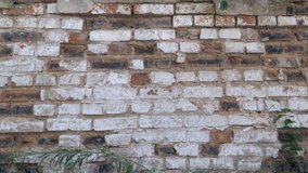 Video Backdrop Of Brick Wall Texture