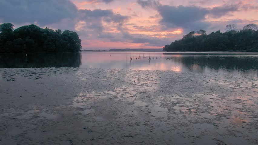 Aerial: Flying over calm water and oyster farm at sunrise. Ohope, Bay of Plenty. New Zealand 