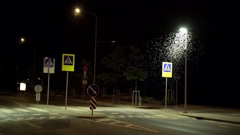 Ephemera hainanensis - mayfly or also known as fish flies, shad flies or up-winged flies. Mayflies swarming on the ground around street lights at night time. Mating season, wild insect animals
