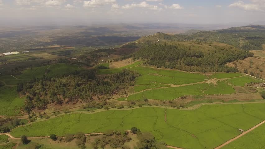 Aerial view of tea plantation in Kenya