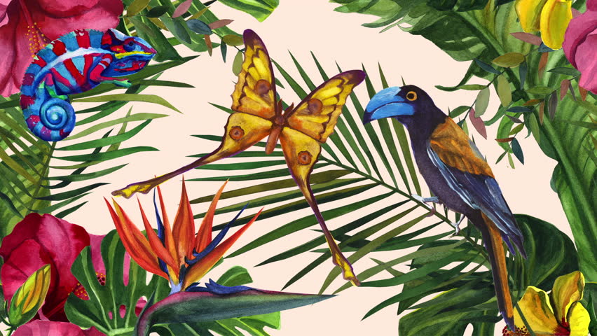 Cartoon Jungle Madagascar. Exotic Bird, Chameleon and Butterfly. Watercolor tropical wildlife. Hand drawn jungle nature, illustration
