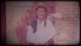 A farmer in a straw hat holds a large white goose.Video archive. Retro. Vintage. Farm animals. Raising animals for meat. Portrait of an elderly farmer. Agriculture. Organic food. Ranch. Not vegetarian