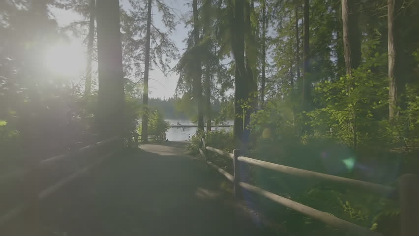 sun shining through the branches a long a hiking trail (slow motion).