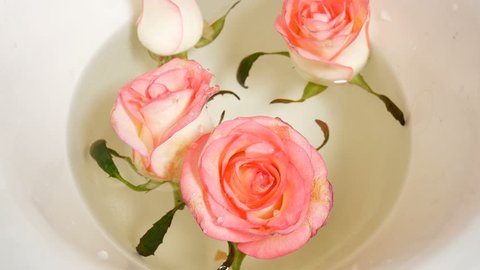 pink roses floating in water bowl, spa concept