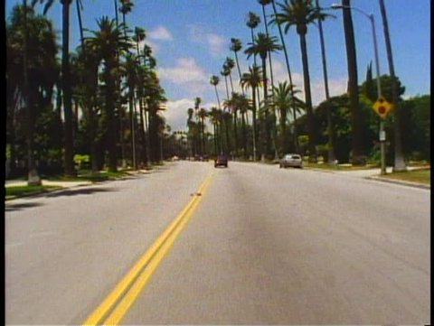 BEVERLY HILLS, CALIFORNIA, 1994, POV car driving down palm lined street