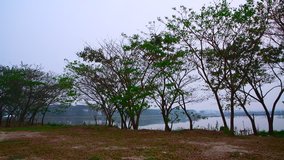 4K video of Kwan Phayao lake with trees in the evening, Thailand.