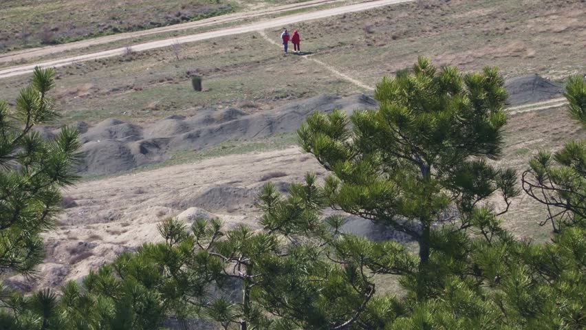 The tops of the gree firs drift in the wind and people go far away
